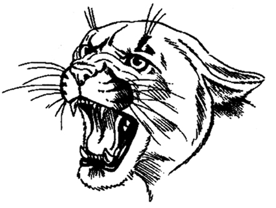 cougar.jpg
